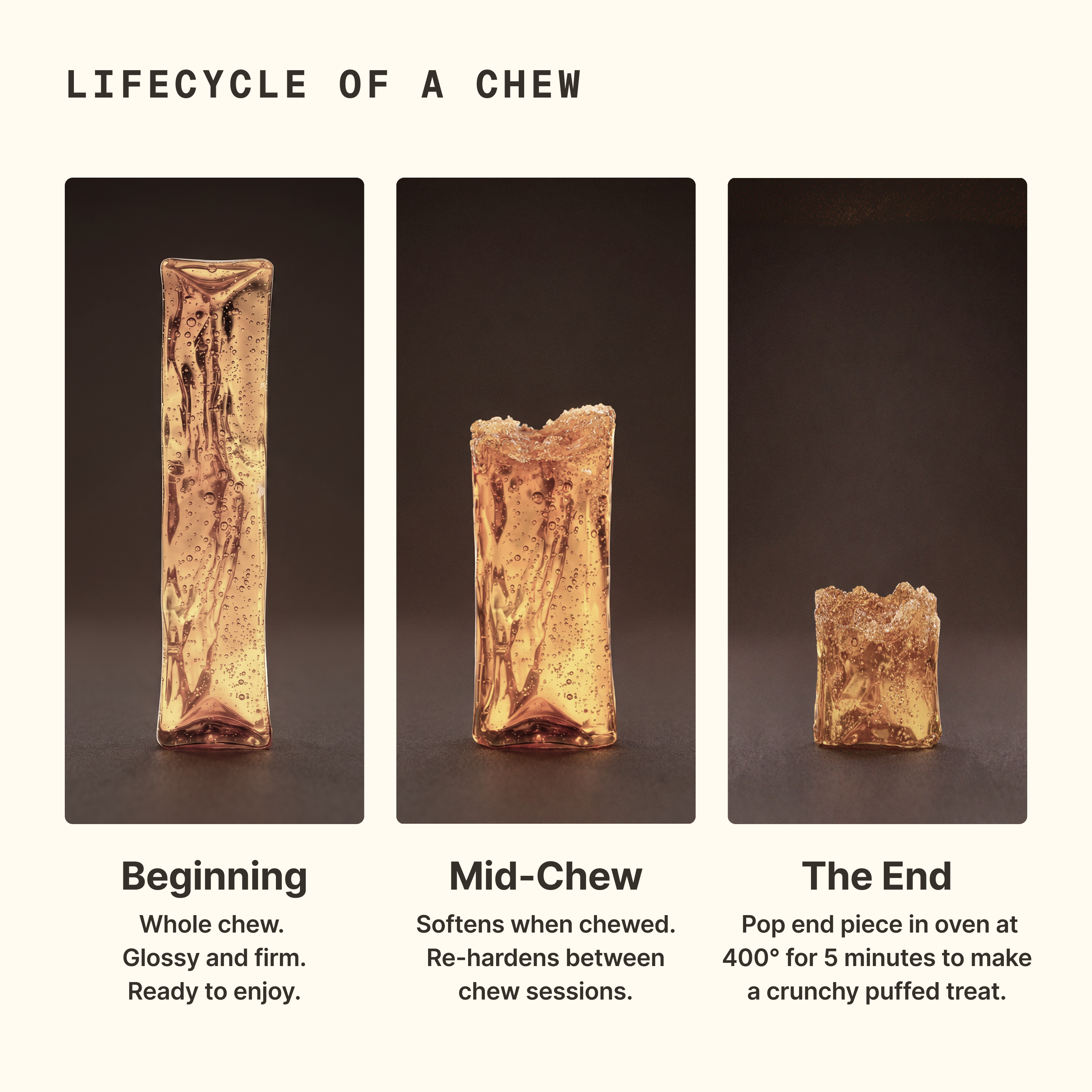 The Bone Broth Chew